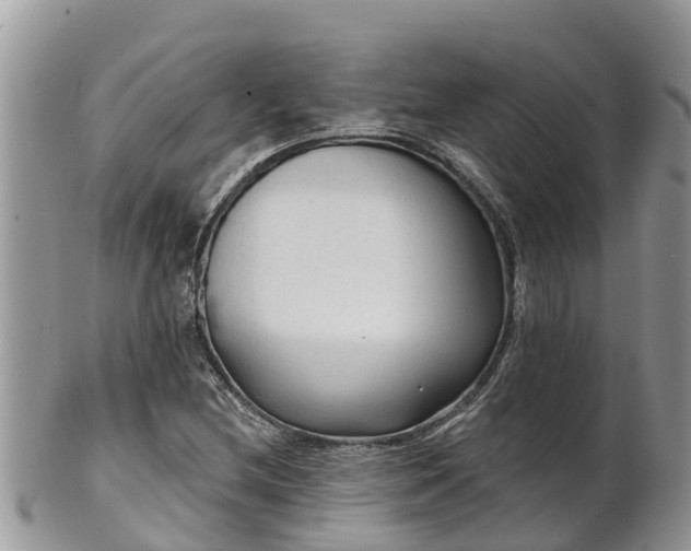 X0000102281212200808011442