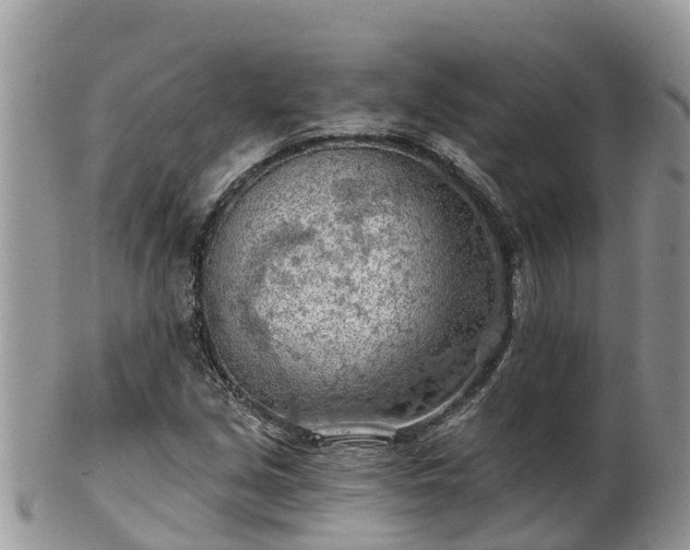 X0000102281213200808011442