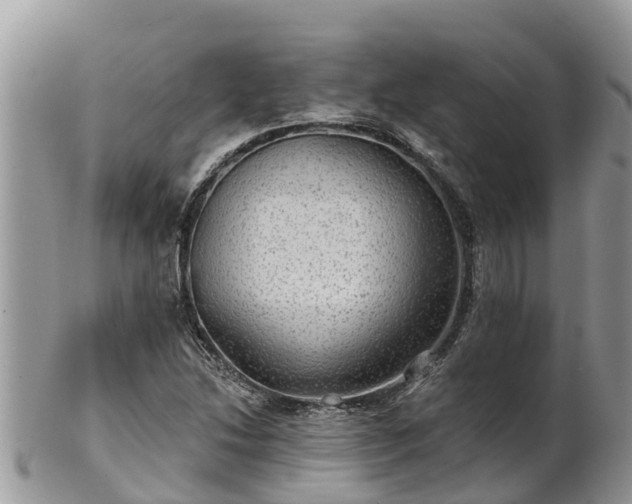 X0000102281214200808011442