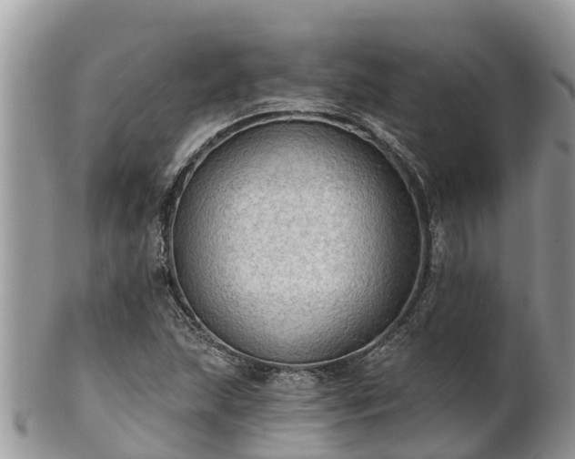 X0000102281215200808011442