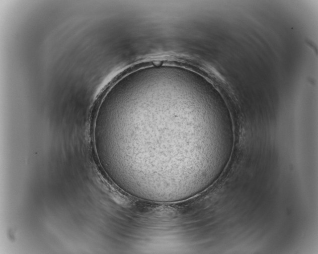 X0000102281216200808011442