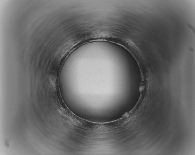 X0000102281217200808011442