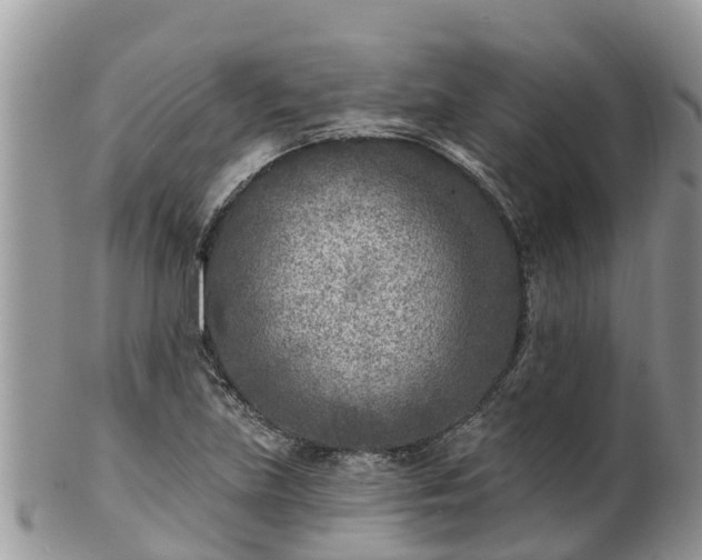 X0000102281219200808011442