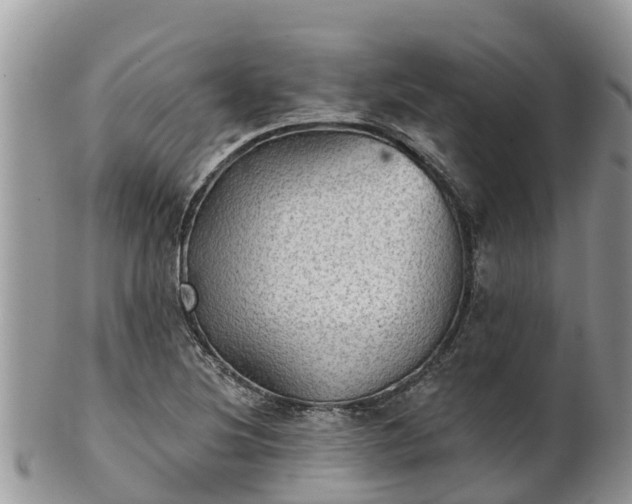 X0000102281220200808011442