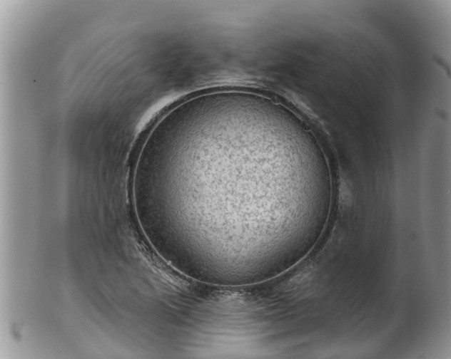 X0000102281222200808011442