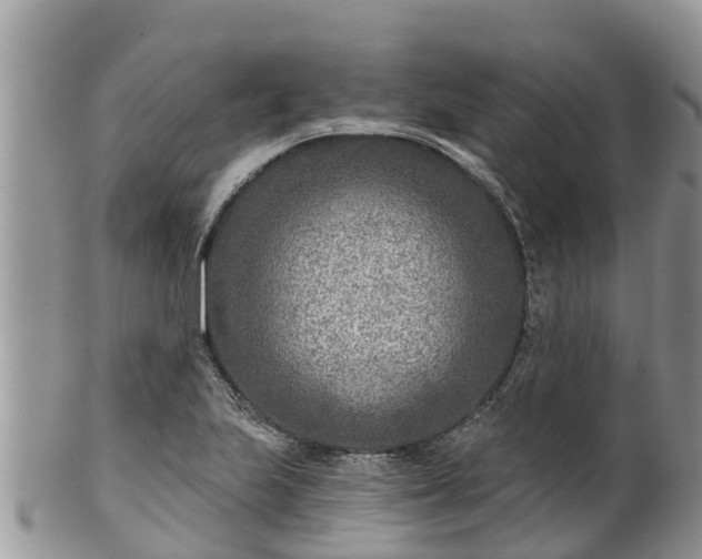 X0000102281223200808011442