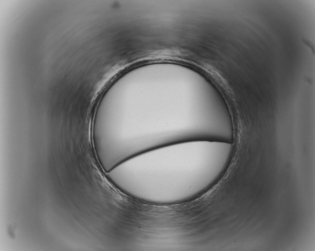 X0000102281224200808011442