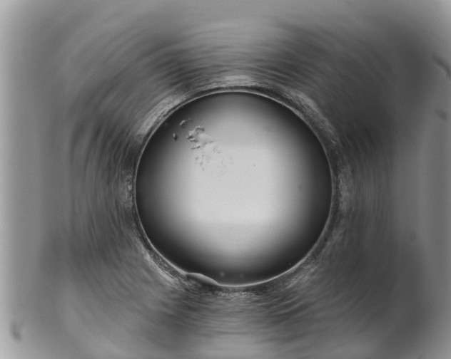 X0000102281225200808011442