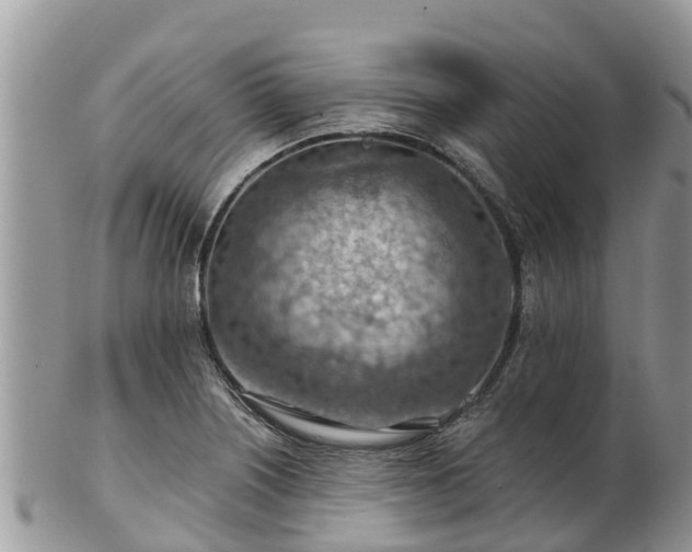 X0000102281226200808011442