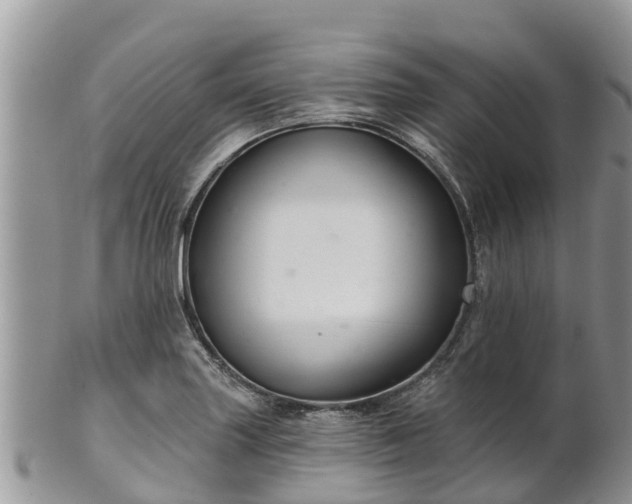 X0000102281227200808011443