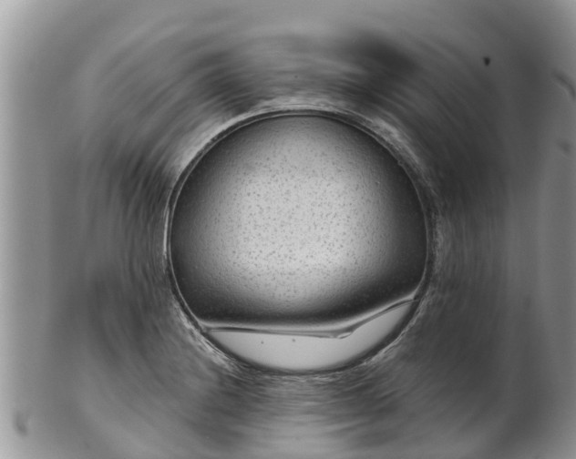 X0000102281228200808011443