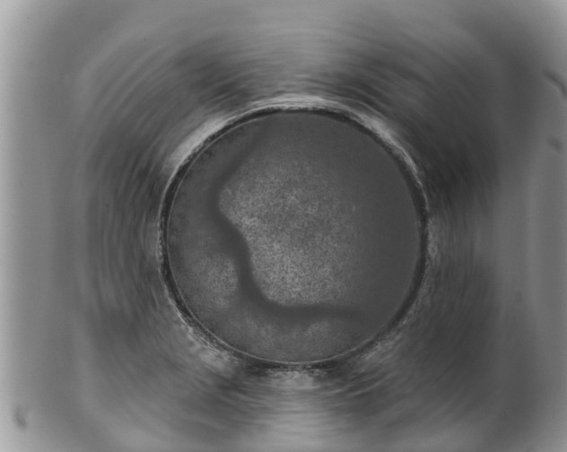 X0000102281229200808011443