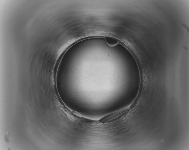 X0000102281230200808011443