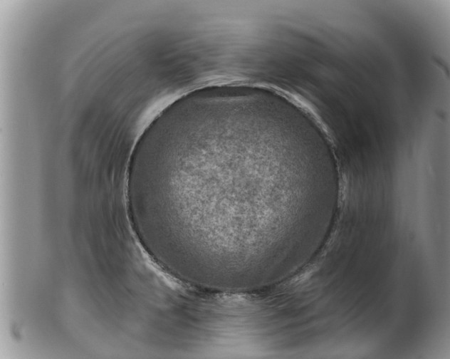 X0000102281231200808011443