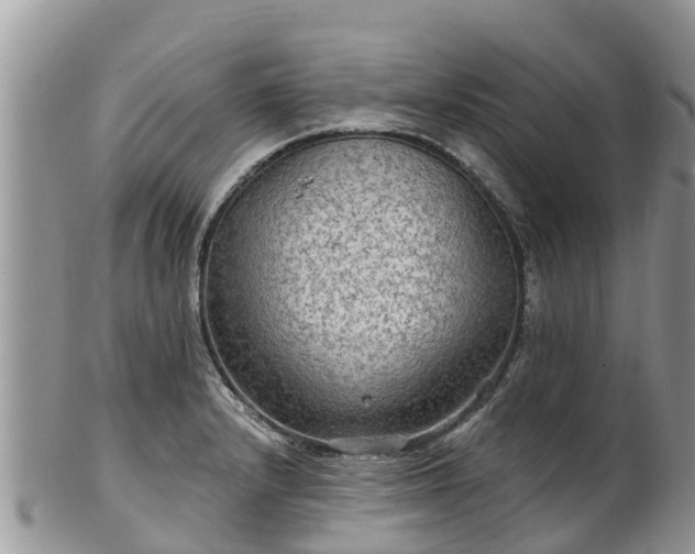 X0000102281232200808011443