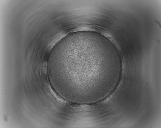 X0000102281233200808011443