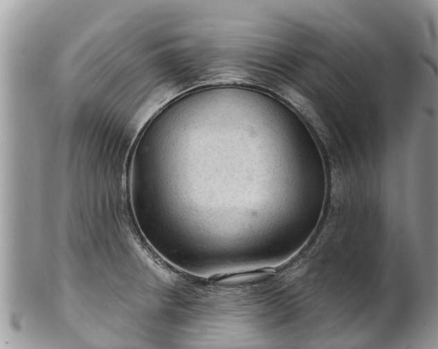 X0000102281234200808011443