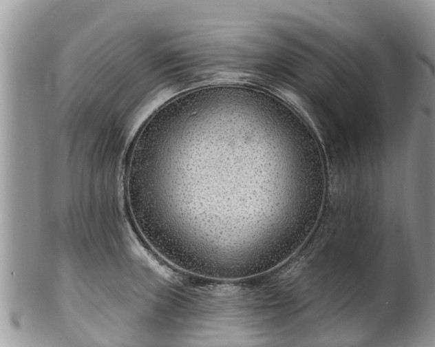 X0000102281235200808011443