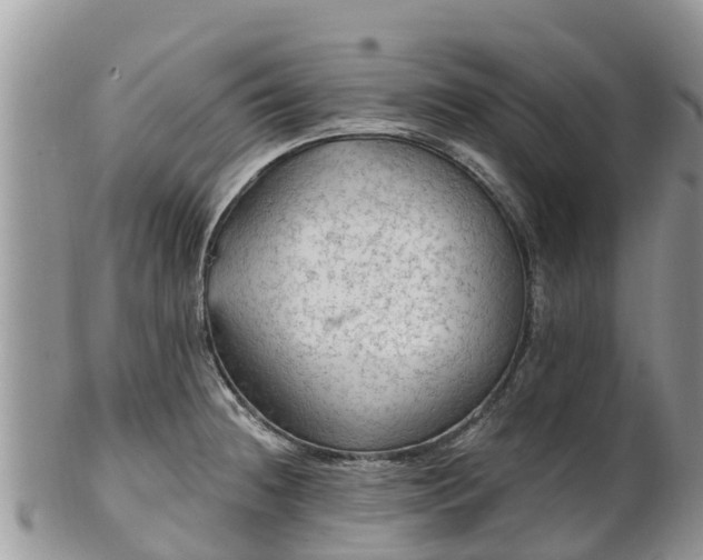 X0000102281236200808011443