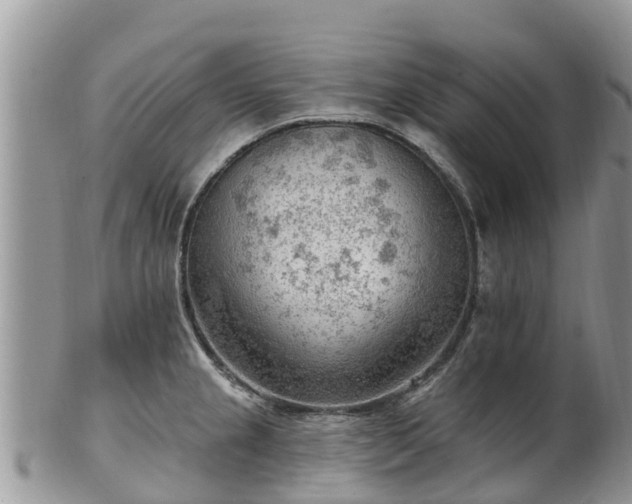 X0000102281237200808011443