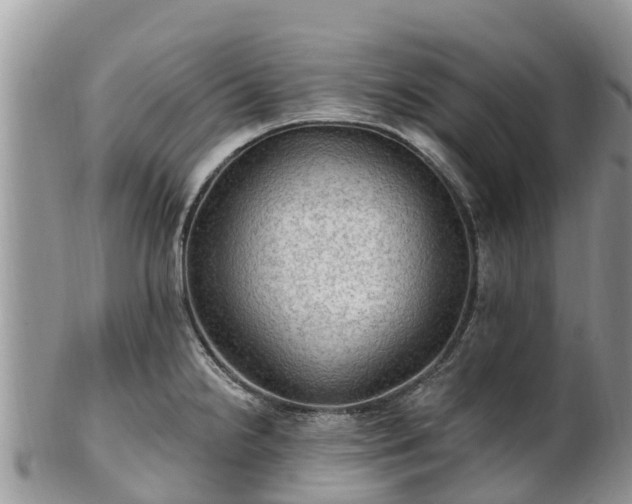 X0000102281238200808011443