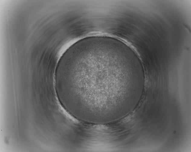 X0000102281239200808011443