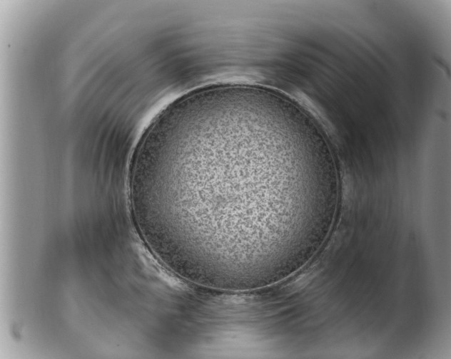 X0000102281240200808011443