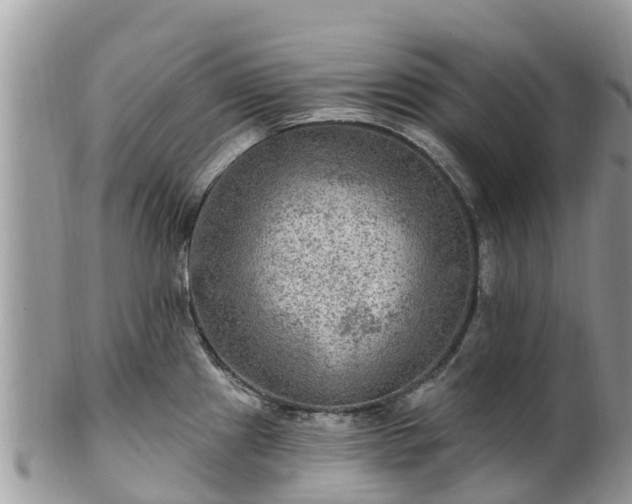 X0000102281241200808011443