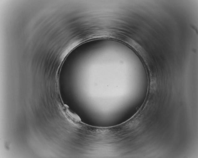 X0000102281242200808011443