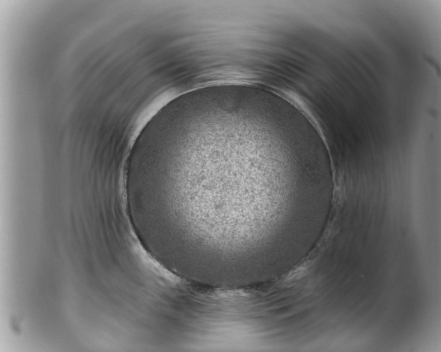 X0000102281243200808011443