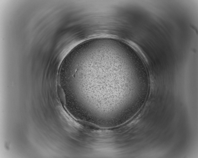 X0000102281244200808011443