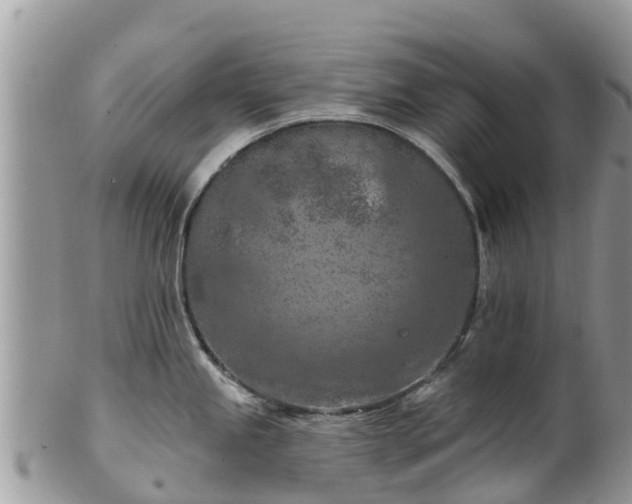 X0000102281245200808011443