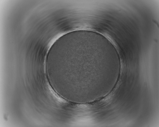 X0000102281246200808011443