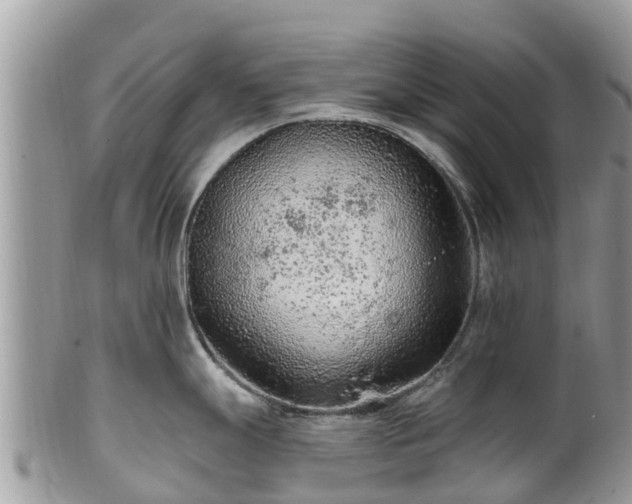 X0000102281247200808011443