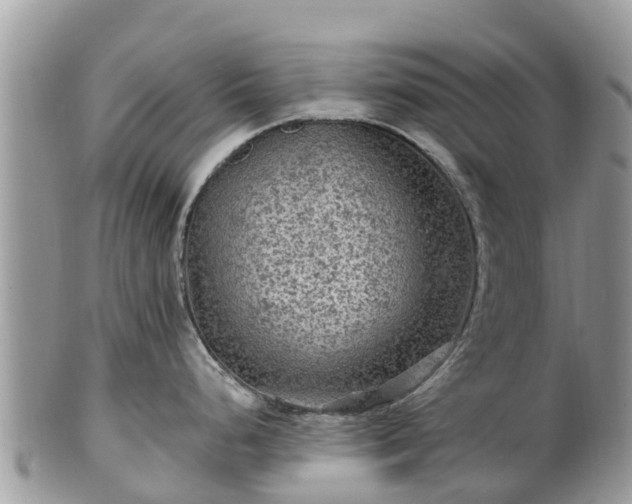 X0000102281248200808011443