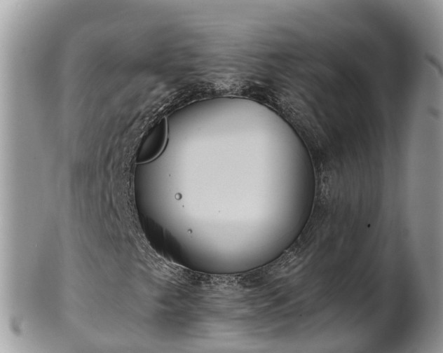 X0000102281249200808011442