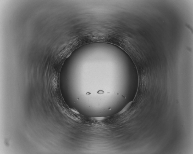 X0000102281250200808011442