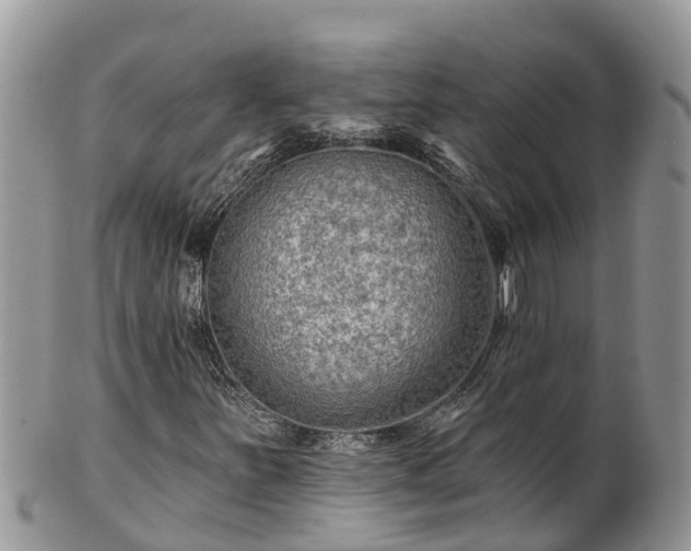 X0000102281251200808011442