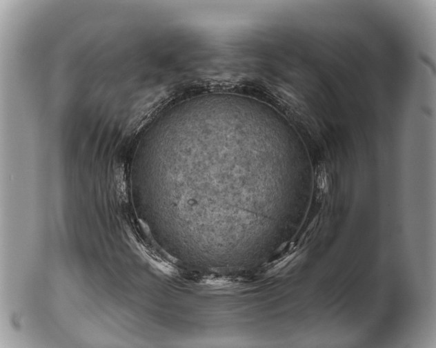 X0000102281252200808011442