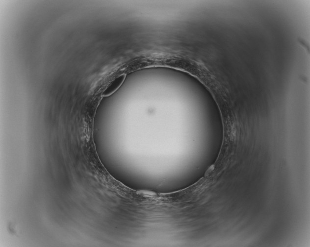 X0000102281253200808011442