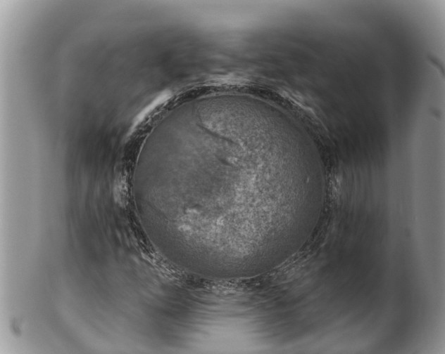 X0000102281254200808011442