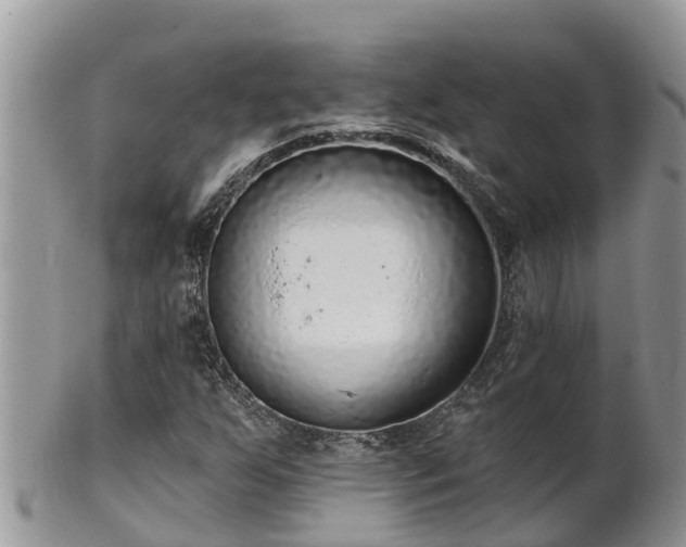 X0000102281255200808011442