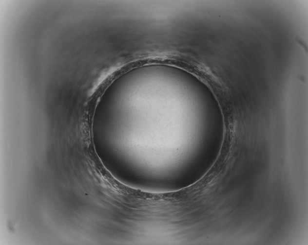 X0000102281256200808011442