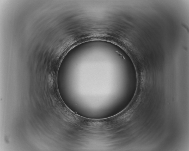 X0000102281257200808011442