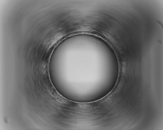 X0000102281258200808011442