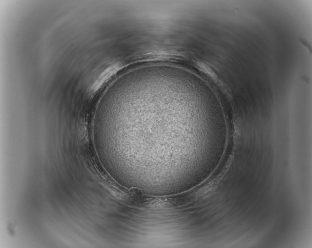 X0000102281259200808011442