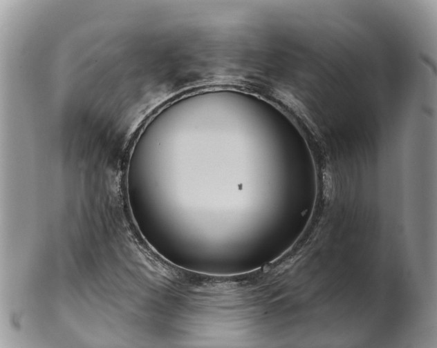 X0000102281260200808011442