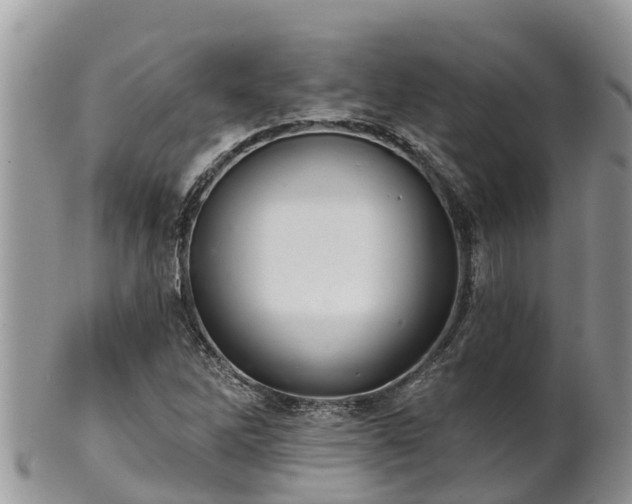 X0000102281262200808011442