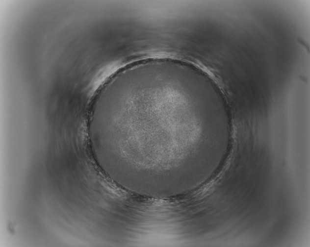 X0000102281263200808011442