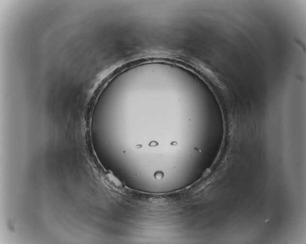 X0000102281264200808011442